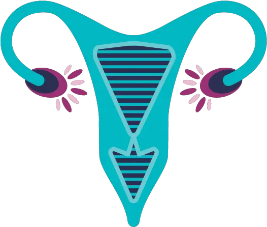  Specialist Care U2014 Wa Gynaescope Gynaecologists Fertility Gynaecology Png Obs Icon Png