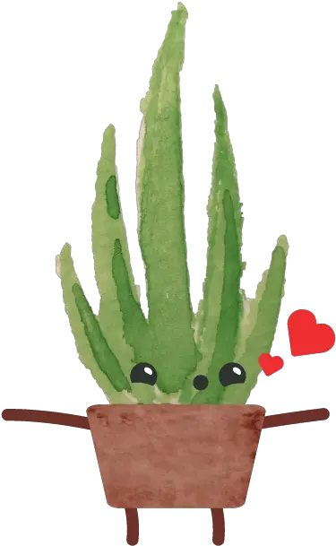  Happy Succulents By Beehub Inc Cactus Png Succulent Png