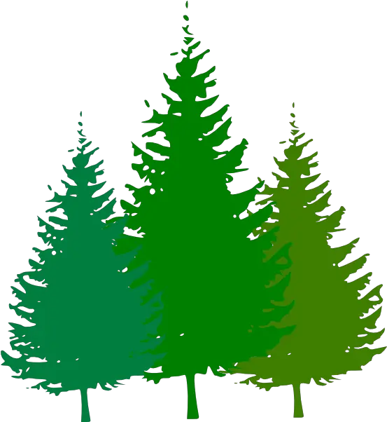  Clipart Trees Forest Pine Tree Black And White Png Forest Transparent Background