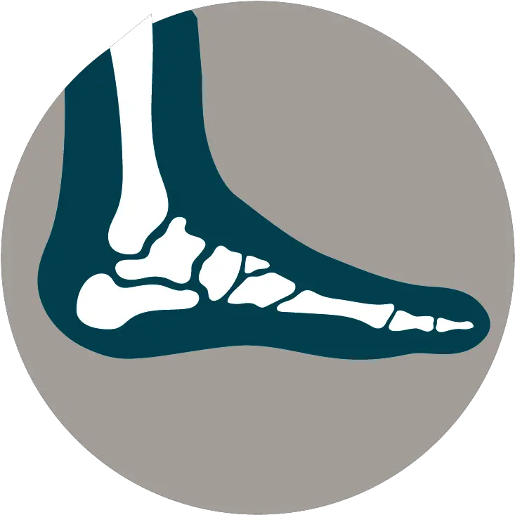  Item Detail Aana19 Foot U0026 Ankle Access Pass Orthopédie Logo Png Foot Icon