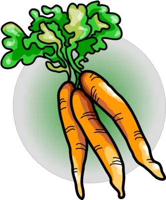  Free Carrot Clipart Pictures Clipartix Bunch Of Carrots Clipart Png Carrot Transparent Background