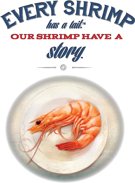  Why Buy American Wild Shrimp Processors American Shrimp Png Shrimp Png