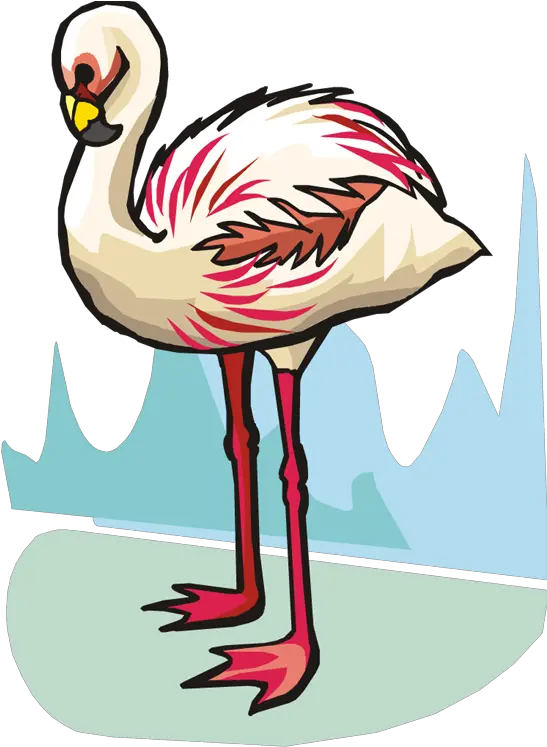  Related Pictures Funny Flamingo Bird Clipart Graphic Clip Art Png Flamingo Clipart Png