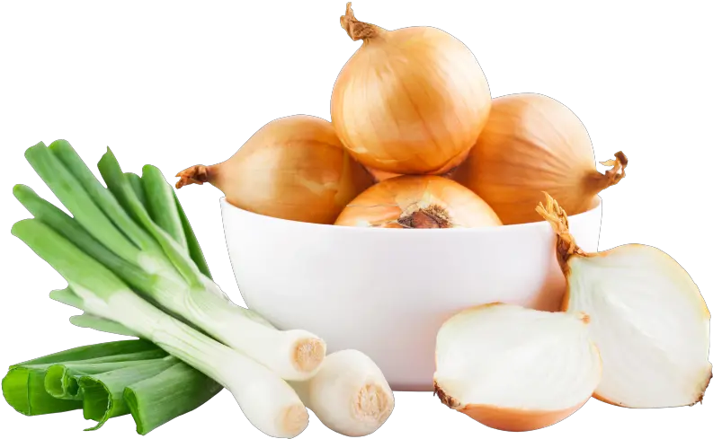  Pin Electric Onion Cutter Machine Png Onion Png
