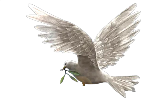  Index Of Userstbalzebirdpng Dove Of Peace Transparent Peace Png