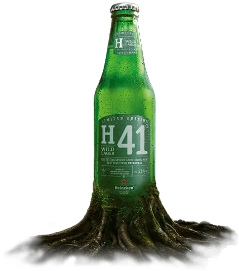  Discover H41 Wild Lager By Heineken Heineken H41 Beer Bottle Png Heineken Png