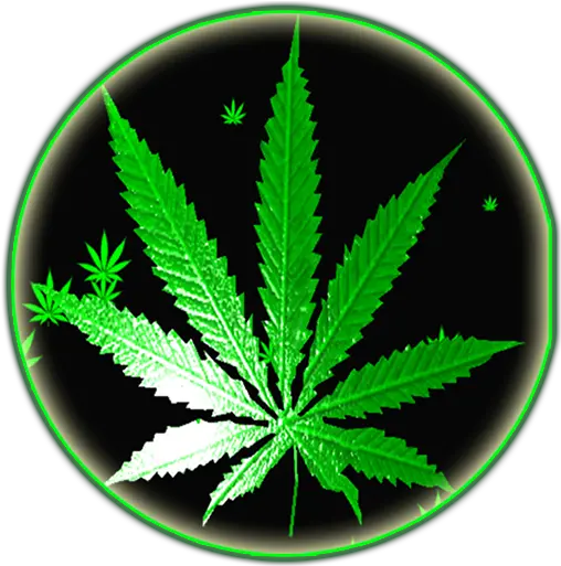  Weed Rasta Smoke Wallpapers Weed Rasta Png Weed Transparent Background