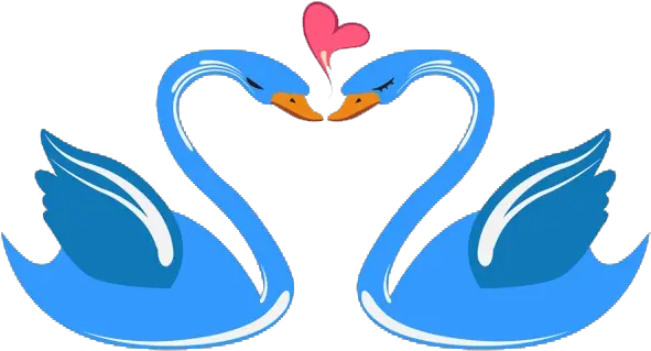  Heart Clipart Swan Swan Cartoon Clipart Png Transparent Swans Vector Swan Png