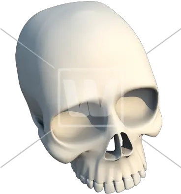  3d Skull Bone 3d Model Skull Transparent Background Png Bone Png