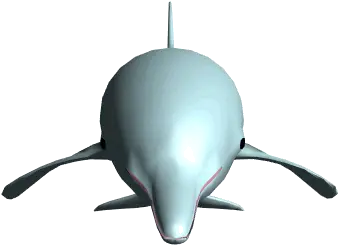  Cool Animated Dolphins Clip Art Images Clipart Animated Gif Dolphin Png Transparent Animations