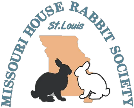  Bunny Behavior Morabbit Png Rabbit Face Icon