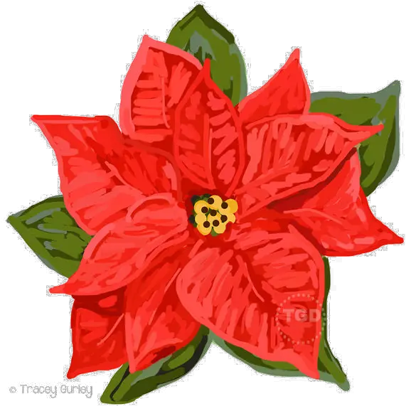  Download Poinsettia Png Image Poinsettia Poinsettia Png