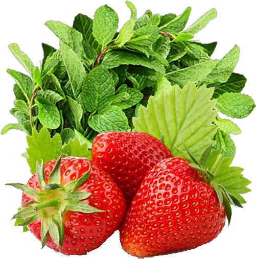  Strawberry And Mint Recipe Fitness Png Mint Transparent