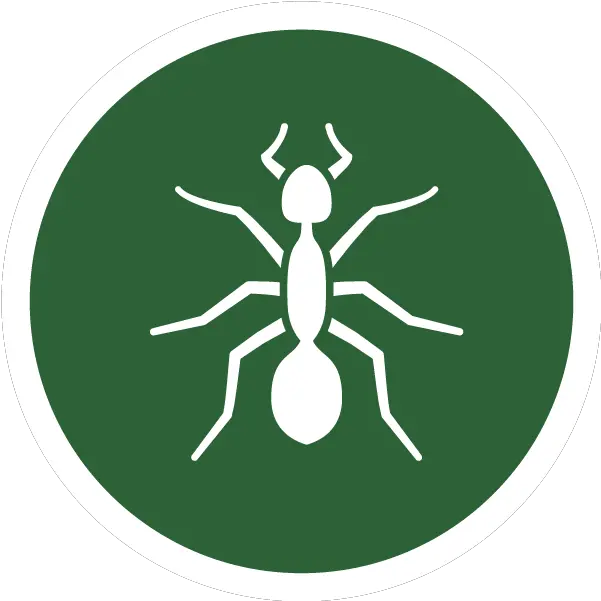  Maineu0027s Best Choice Pest Management Exterminator U0026 Pest Png Ant Icon