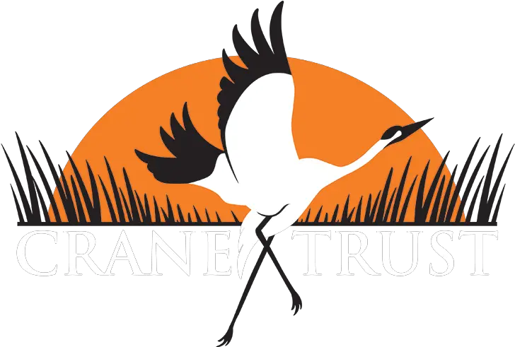  Crane Bird Png Crane Trust Crane 2633686 Vippng Crane Trust Crane Bird Png