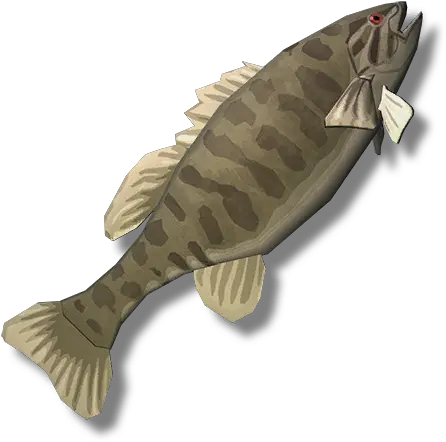  Smallmouth Bass The Long Dark Wiki Fandom Fish The Long Dark Png Bass Fish Icon