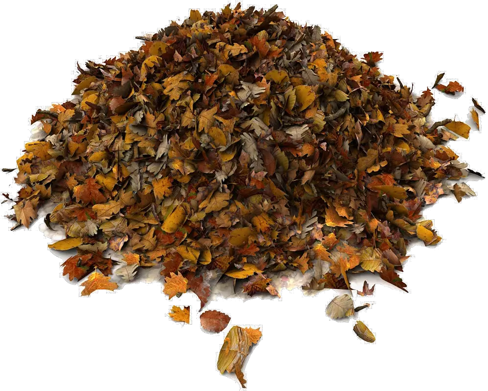  Download Rummage Sale Pile Of Leaves Png Dried Leaves 3d Pile Of Leaves 3d Model Leaves Png