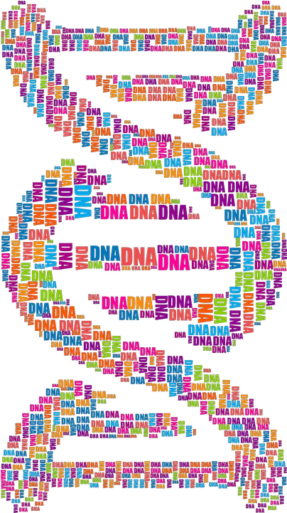  Preprogramming Of Language Your Ability Is Stored Dna Word Cloud Png Language Png