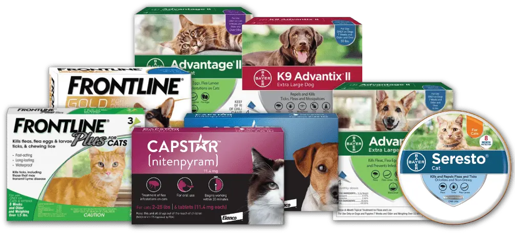  Flea Tick Meds For Dogs And Cats Dog Supply Png Platinum Cats Vs Dogs Icon