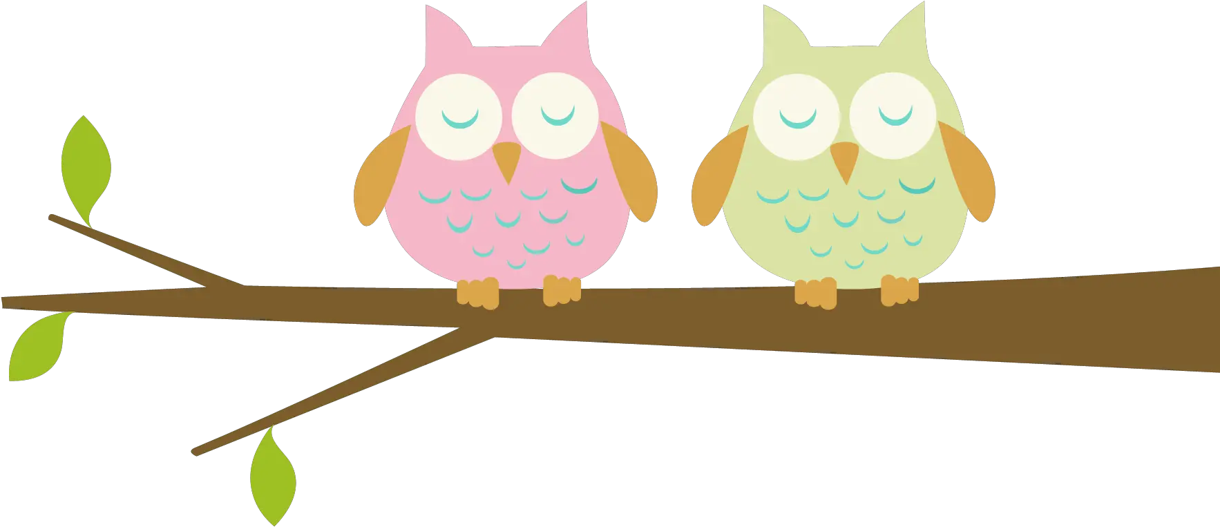  Free Owl Clipart Transparent Download Clip Art Baby Owl Clipart Png Owl Transparent Background