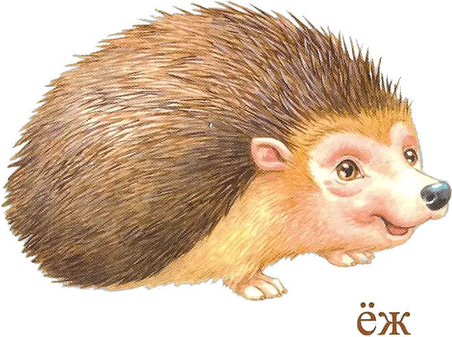  Hedgehog Png Clipart Transparent Porco Espinho Filhote Desenho Hedgehog Png