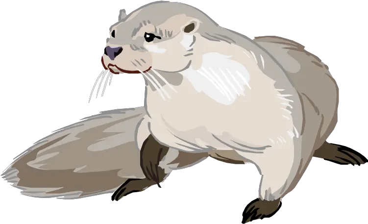  Otter Png Photo Drawing Cartoon Sea Otter Otter Png