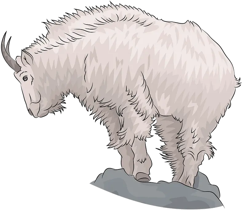  Mountain Goat Clipart Transparent Mountain Goat Png Goat Transparent