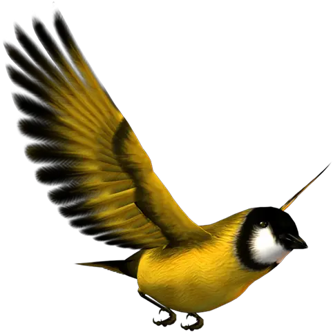  Bird Flight Eurasian Magpie Yellow Yellow Bird Flying Yellow Bird Png Bird Png