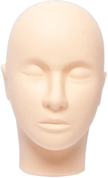  Shop Jb Lashes Starter Kits U2013 Pro Hair Loss Png Mannequin Head Png