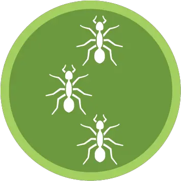  Green Pest Services U2014 Control With Guys Parasitism Png Cockroach Icon