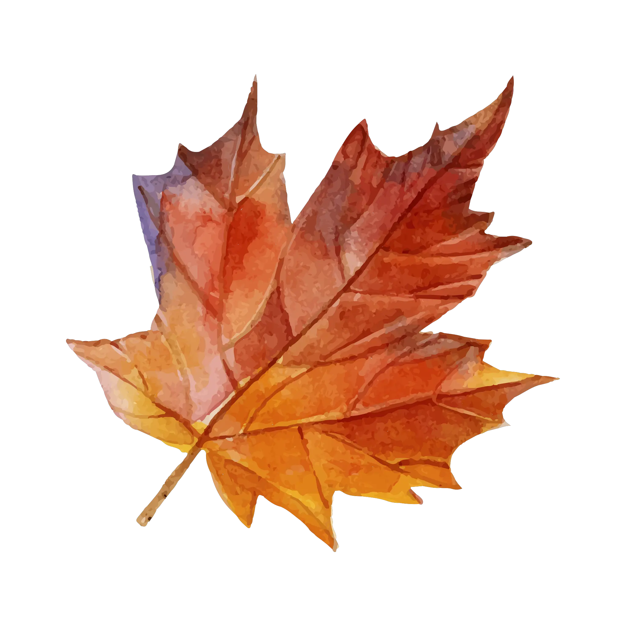  Maple Leaf Png Image Free Download Searchpngcom Maple Leaf Tropical Leaf Png