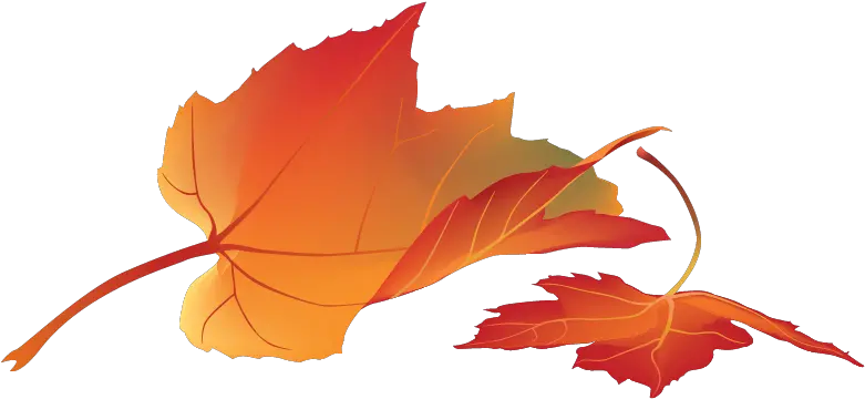  Free Png Autumn Leaves Konfest Maple Leaf Autumn Leaves Png