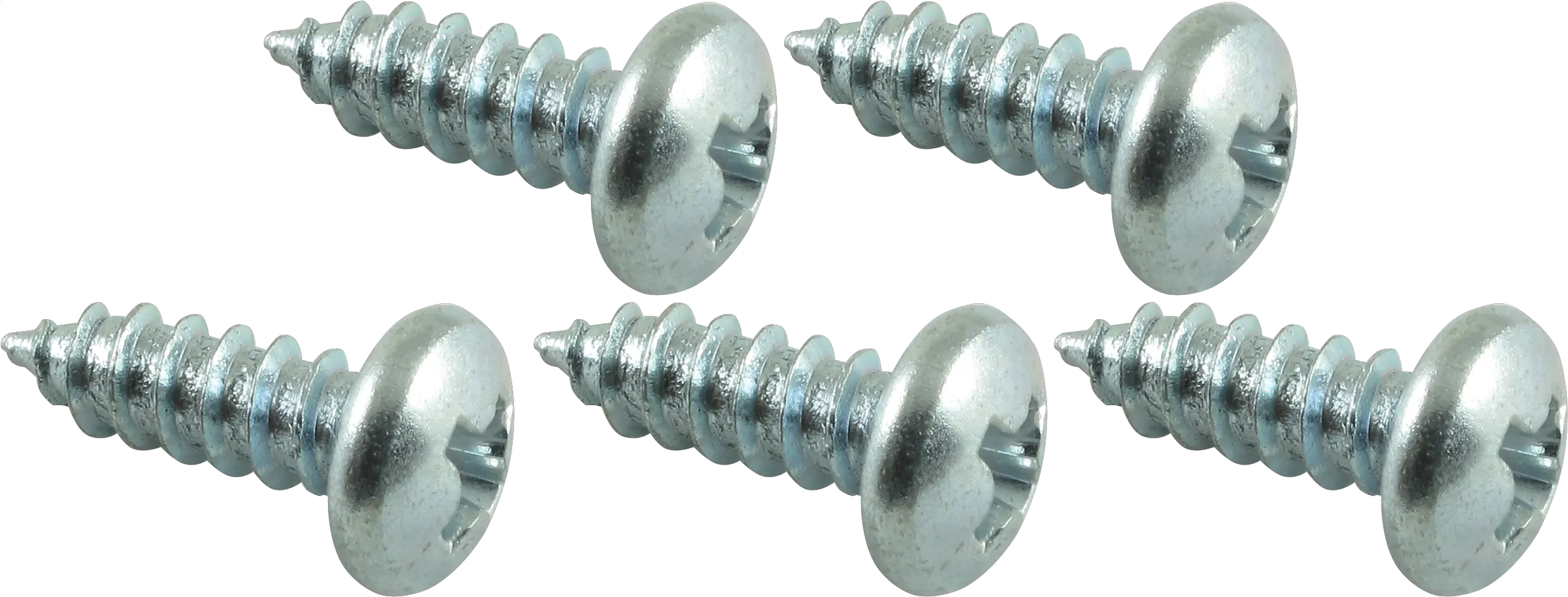  Phillips Pan Head Self Self Tapping Screw Png Screw Head Png