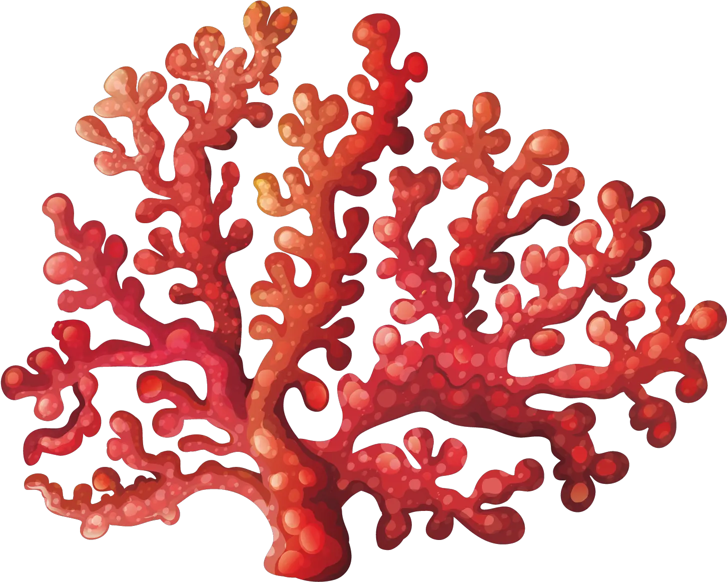  Kisspng Coral Reef Royalty Free Clip Cartoon Colorful Coral Coral Reef Png