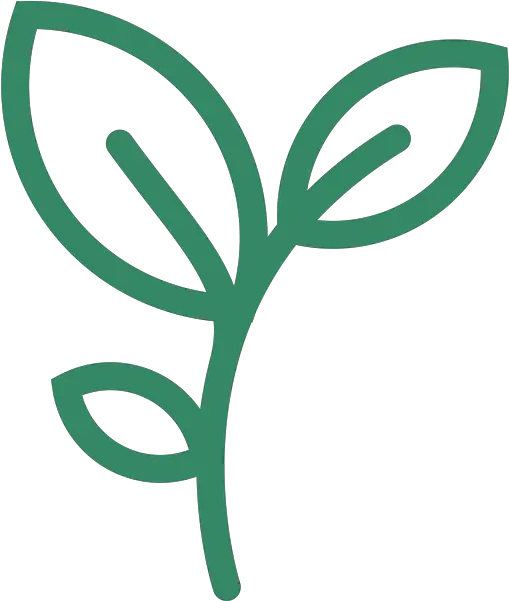  Sunday School Fbc Rosemount Plant Shoot Icon Png Plant Growing Icon