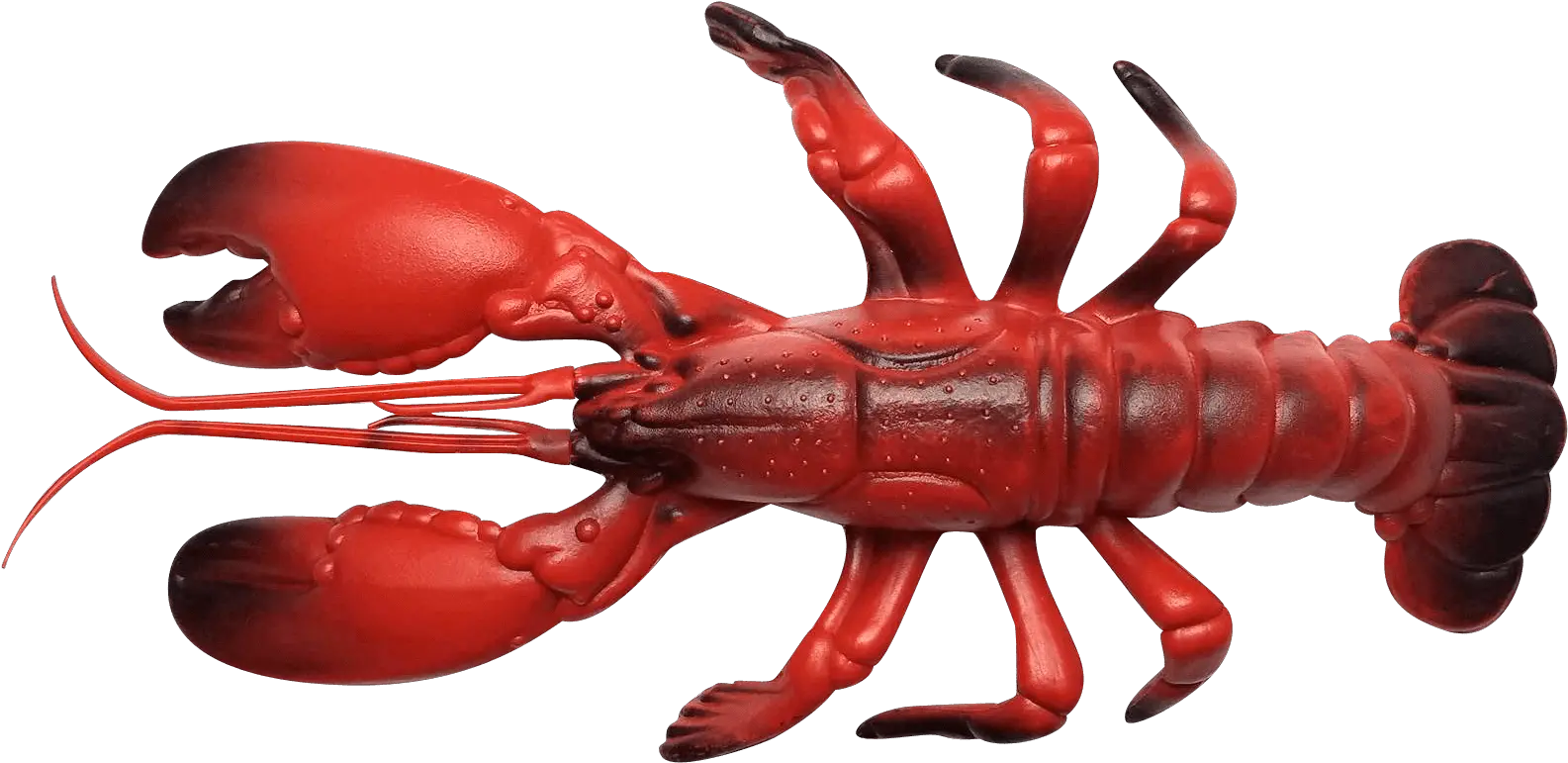  Download Hd Olhzn Space Lobster Lobster Transparent Png American Lobster Lobster Png