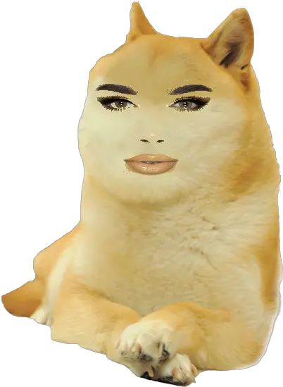  Dogelore Doge Png James Charles Png