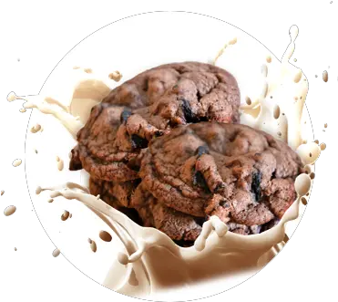  Protolyte 100 Whey Isolate Chocolate Chip Cookie Png Icon Meals Protein Cookie