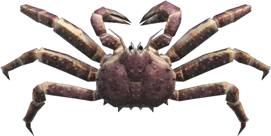  Red King Crab Animal Crossing New Horizons Red King Crab Png Crab Legs Png