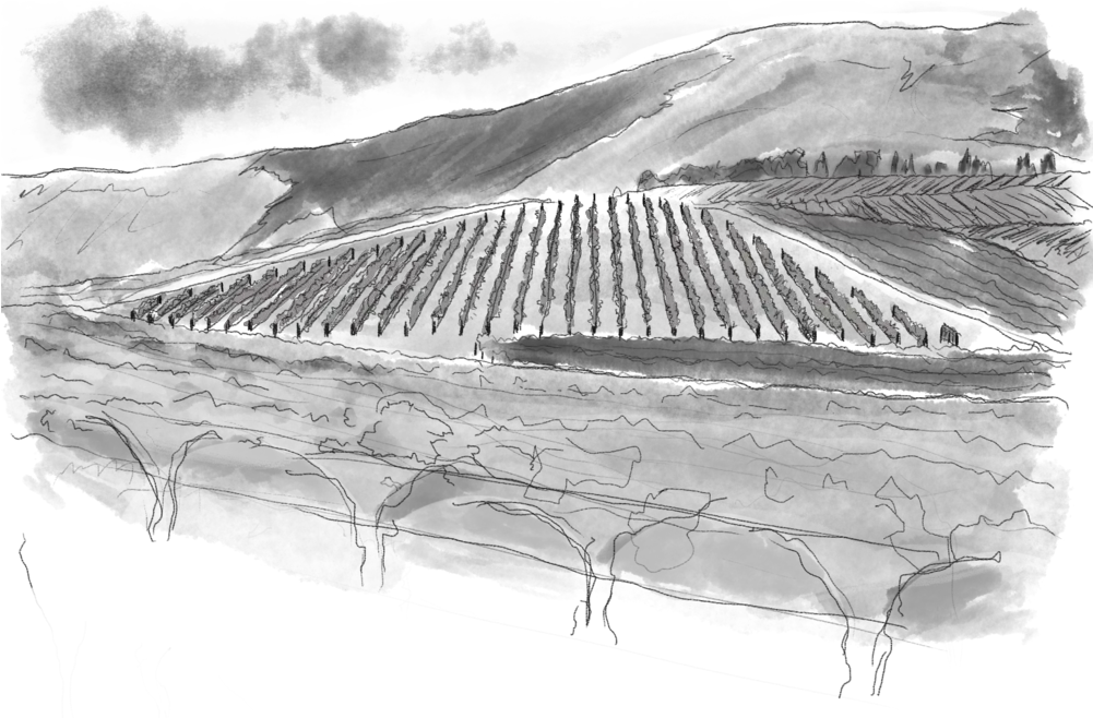  Art U2014 Scar Of The Sea Art Charcoal Png Scar Png