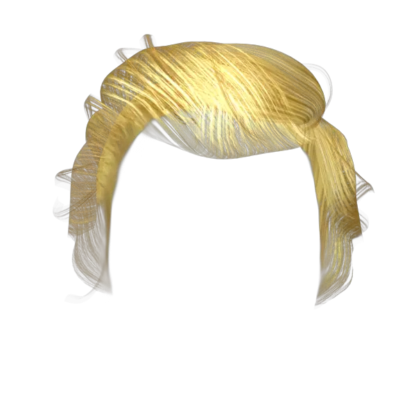  Donald Trump Hair Png Transparent Donald Trump Hair Transparent Donald Trump Hair Png