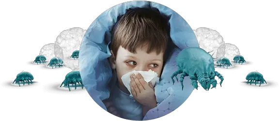  Your Child Is Allergic To Dust Mites Exaller Palette Png Dust Cloud Png