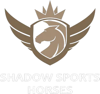  Shadow Man Ben Hobday Eventing Mumbai Fitness Academy Logo Png Shadow Man Png