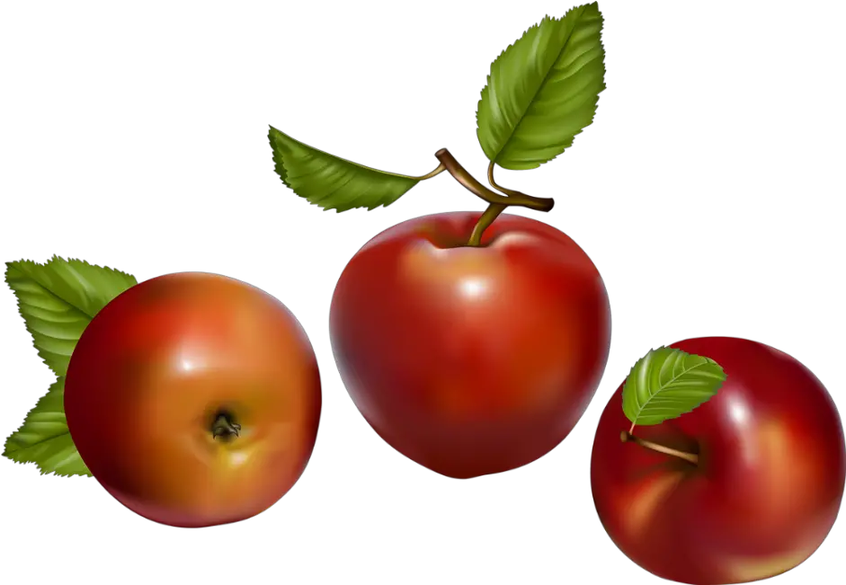  Tube Fruit Pommes Png Apples Png Manzanas Png Fruit Vector Apples Png