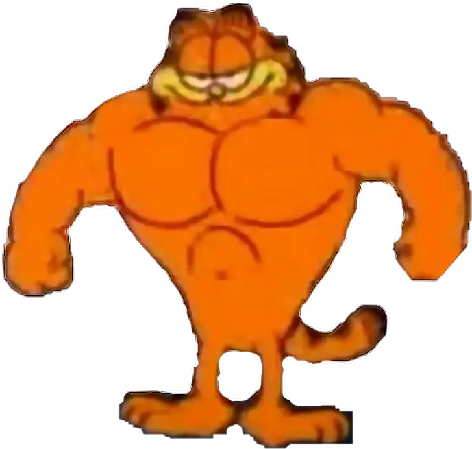  Kristengay Swole Garfield Meme Sticker Muscle Garfield Png Garfield Transparent