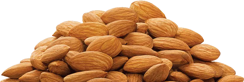  Almond Png Pile Of Nuts Transparent Almond Transparent