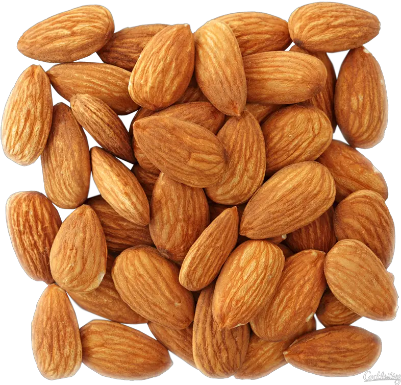  Download Almond Png Image Almond Images Download Almond Transparent