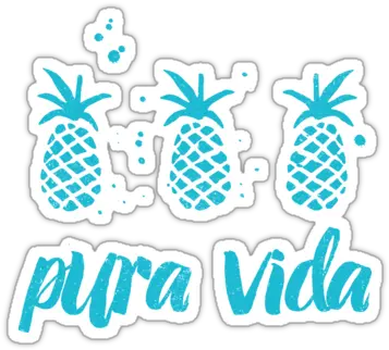  Pura Vida Pineapples In Blue Sticker Blue Pura Vida Sticker Png Costa Vida Logo