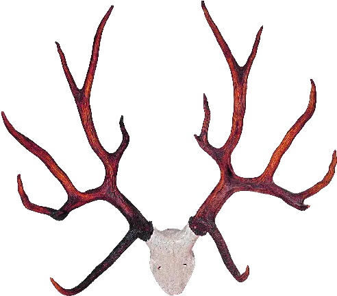  Transparent Deer Antlers Png Mart Clipart Full Size Stag Antlers Deer Antler Png