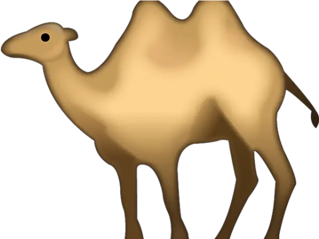  Camel Emoji Transparent Png Camel Emoji Camel Png